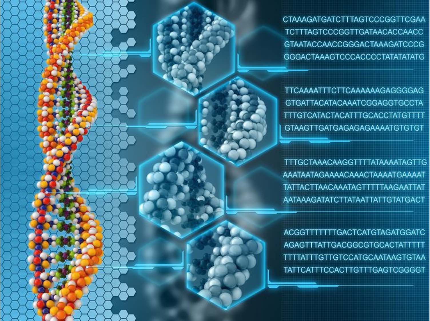 Genómica, Proteómica e Interactómica | Grado en Bioquímica | Curso 21/22